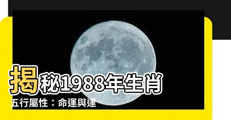 1988年五行缺什么|1988年9月6日出生的人五行缺什么？